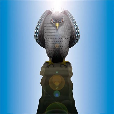 ゲリラホーク